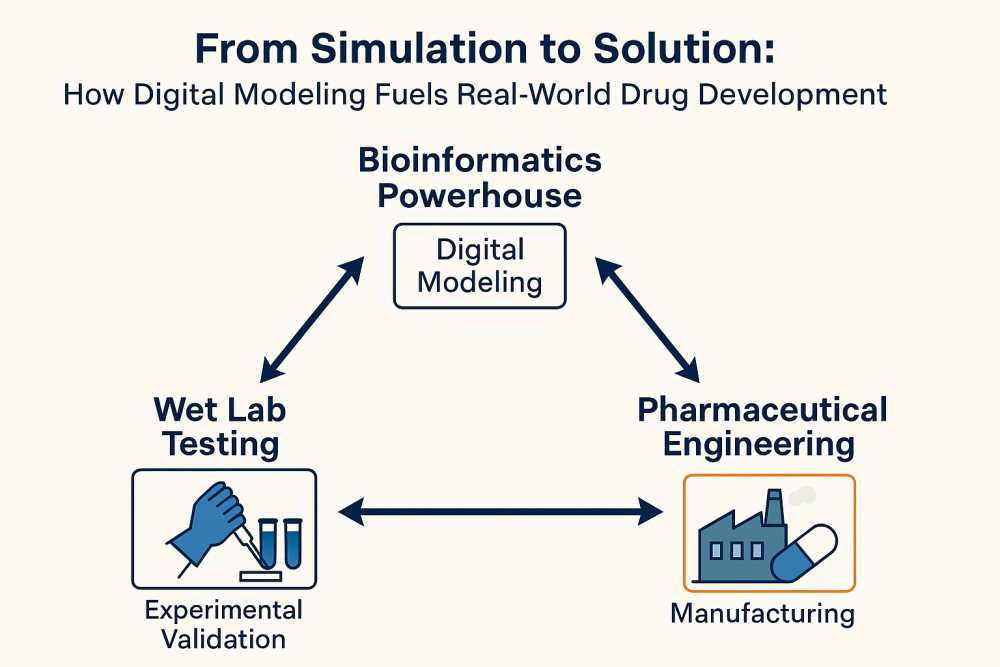 An image showing interdependence of bioinformatics, pharmaceuticals, and wet lab research.